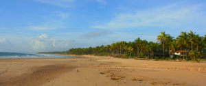 algodoes-marau-peninsula-bahia