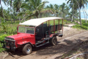 jardineira in barra grande bahia