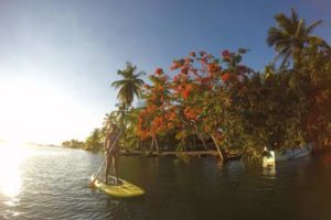 paddleboard-mangroves-barra-grande