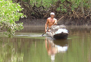 canoa tradicional na baia de camamu bahia