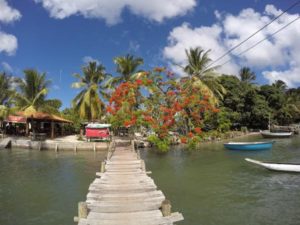 ilha do sapinho na bahia de camamu bahia