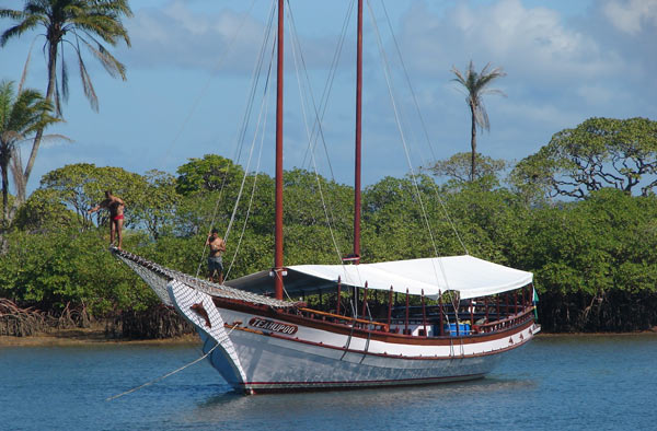 schooner cruises from barra grande bay of camamu