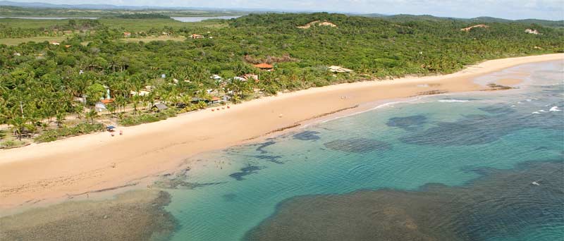 algodes recife marau bahia