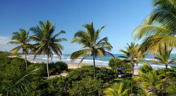 hotel na praia de algodoes marau