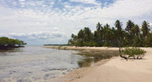 ponta de castelhanos boipeba brazil