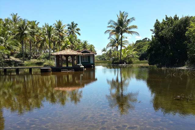 algodoes property on a lake