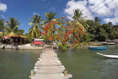 ilha do sapinho restaurante baia de camamu marau