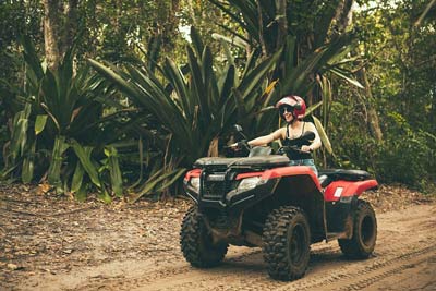 trilha das bromelias gigantes marau bahia